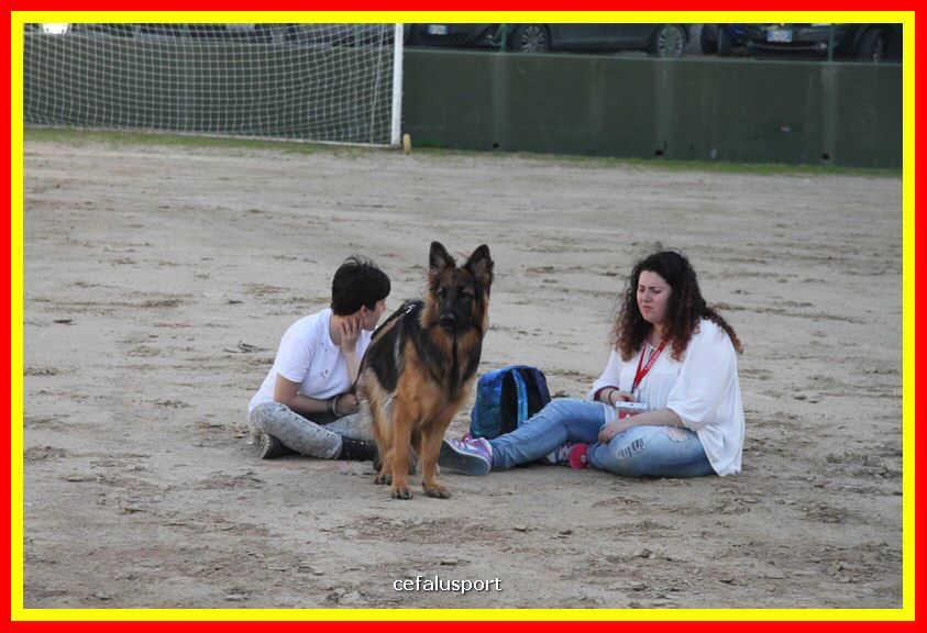 180311 mostra_canina 048.jpg